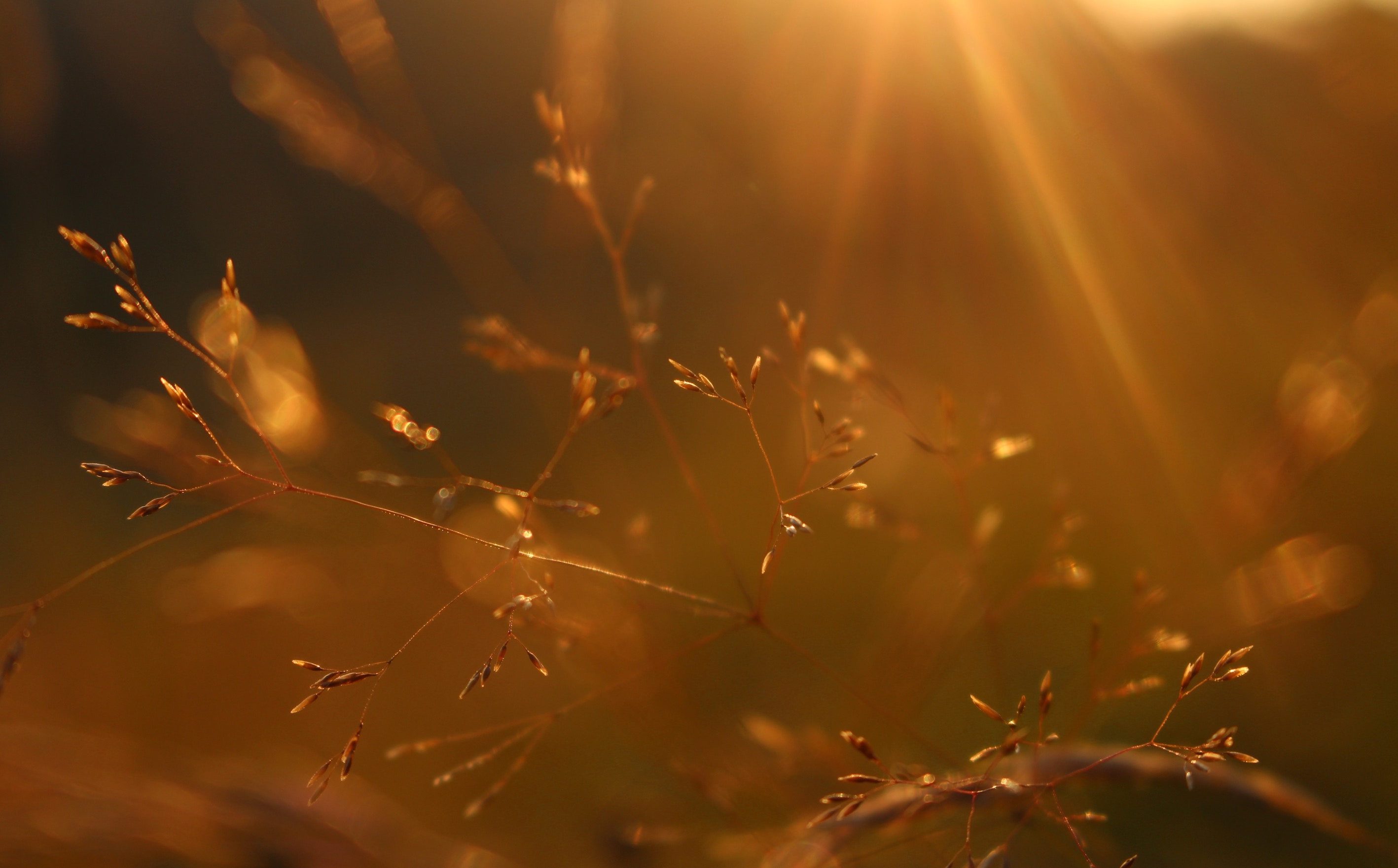 The call of the Spirit to Intimacy With God